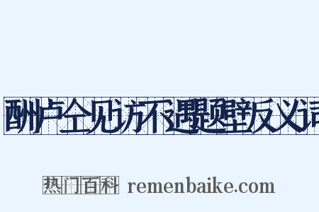 酬卢仝见访不遇题壁反义词是什么意思的图片